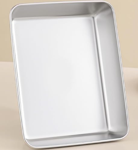 Pack of 3 Food Boxes for Refrigerator, Stainless Steel, 25 x 20 x 5 cm, Meal Prep Boxes with Viewing Lid, Fridge & Oven, Reusable Stainless Steel Food Storage Containers for Cheese, Cold Cuts