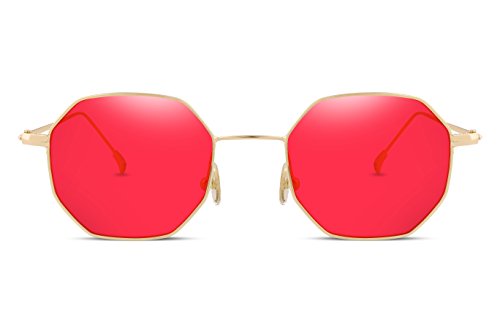 FEISEDY Hipster Small Polygon Women Men Sunglasses Delicate Metal Frame B22543