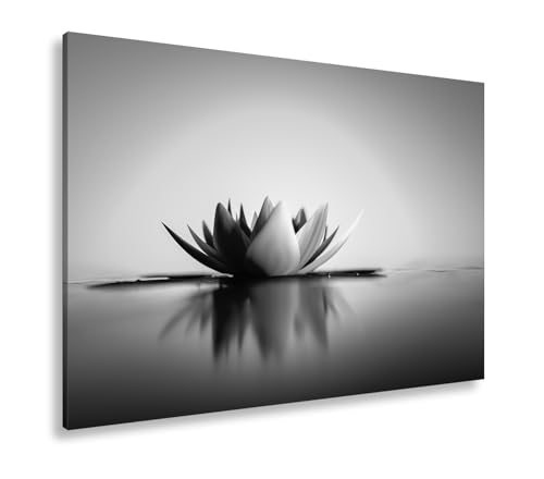 Toile lotus lueur du matin 90x60 cm tableau noir et blanc XXL