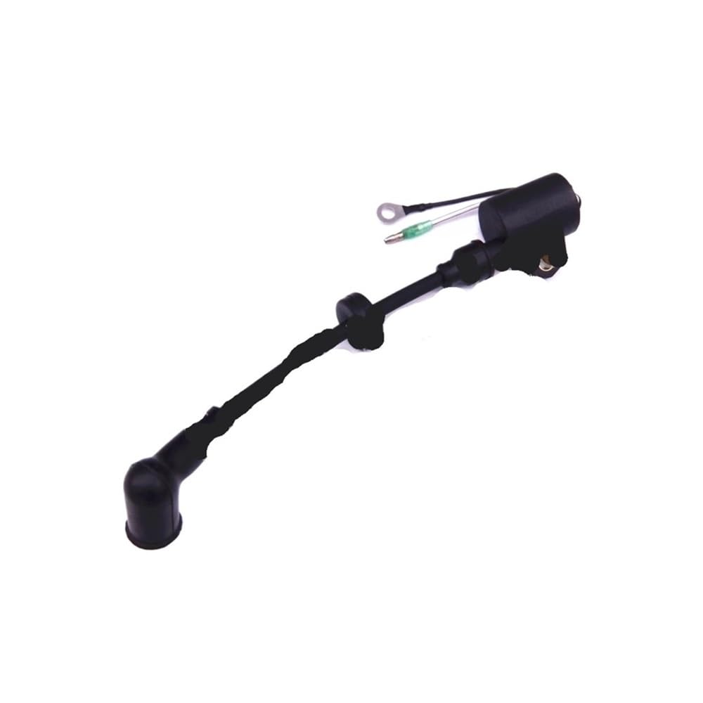 Bobine d'allumage pour bateau de pêche hors-bord 20-30 CV en navigation côtière