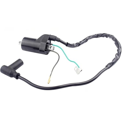 Bobine d'allumage pour CR85R Expert robuste et fiable
