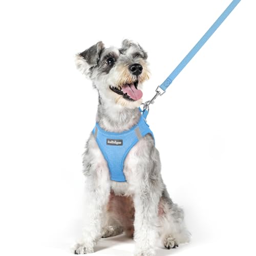 Image of rabbitgoo Dog Harness Medium Sized and Leash Set, Step-in Puppy Pet Vest
