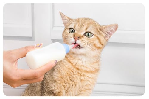 Aufzuchtflasche Katze, 60 ml katzenaufzuchtmilch Haustier Babyflasche Kit, Aufzuchtflasche Pet Milchflasche Haustier Babyflasche Kit mit Reinigungsbürste und Ersatznippeln für Kätzchen und Kleintiere