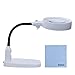 Delixike 10x Lampada con Lente d'Ingrandimento -Tavolo e lampada da tavolo con luce LED ultra luminosa a risparmio energetico, grande lente di ingrandimento per lettura, hobby, Crafts, banco da lavoro