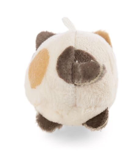 Kuscheltier Katze Angy 5cm - beige - Weiches NICI Plüschtier – niedliches Stofftier zum Kuscheln & Spielen – tolle Geschenkidee für Kinder & Erwachsene | 62377