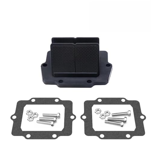 Valve à roseau VF3 carbone pour entretien du moteur de votre moto
