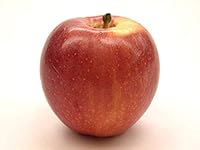 Algopix Similar Product 20 - Kauffman Orchards FreshPicked Gala