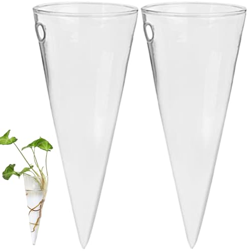 Jarrones de pared de cristal que salvan espacio y decoran paredes sin muebles 2