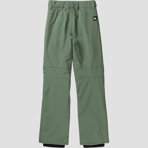 Quiksilver Estate Kids Snowboard Pants2