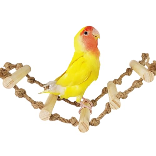 Escada de papagaio infantil para treinamento de papagaio, escada de treinamento de periquito de made