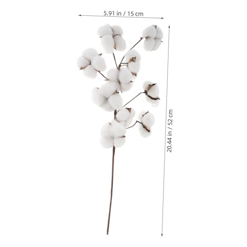 10 tallos de algodón seco para decoración rústica miniatura 2