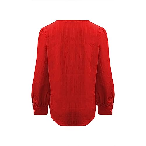 Long Sleeve Shirts for Women 2024 V Neck Lace Tops Business Casual Dressy Blouses Work Oversized Shirts Fall Clothes