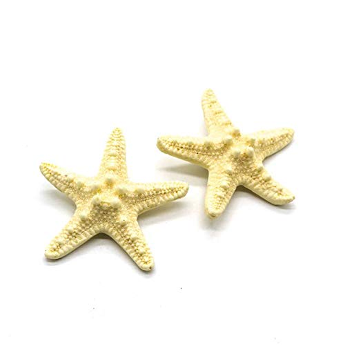 Starfish Hair Clip Seashell Shell Hair Clips 2 Pack Resin Sea Star Hair Clips Mermaid Hair Clip Accessories Summer Holiday Beach Hair Clip Barrettes #TOP1