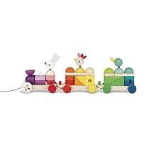 Janod-Tren-Gigante-Multicolor-Zigolos-J08202