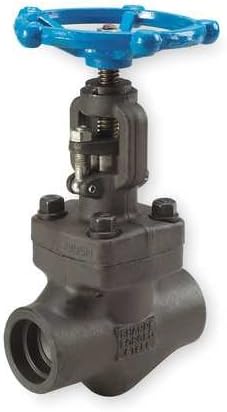 Globe Valve, Class 800, 1-1/2 In.