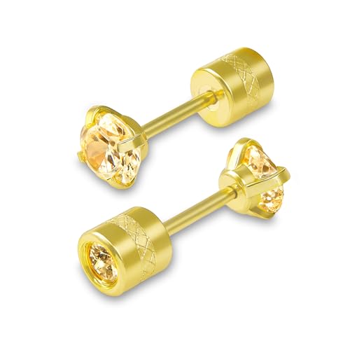 [Noelmarket] sAX t[vsAX ςȂ T[WJXeX 316L jbPt[ Ԃ ~jsAX Vv i  fB[X l 30 40 v[g 킢 ꂢ  3mm 4mm 5mm (C