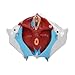 Female Pelvis Model with Pelvic Floor Muscles Perineal Model All in One Female Anatomy Model - Removable Organs - 1:1 Life Size Human Skeleton Medical Science Educational Equipment Anatomy Medicine