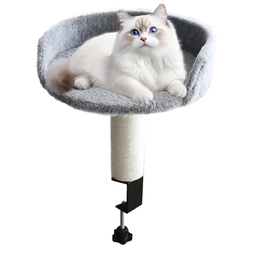 Hamac pour chat suspendu sur meuble pour éviter les poils sur le clavier