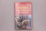 fossilien ostsee bestimmen  Fossilien an Nord- und Ostsee: Finden und Bestimmen