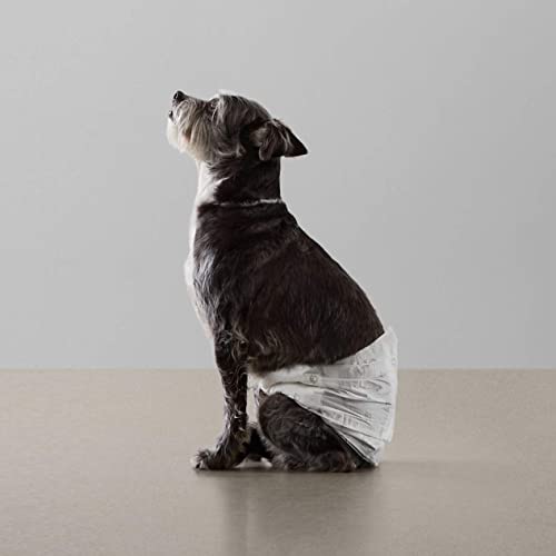 Amazon Basics Hundewindel für Rüden, Einwegwindeln, Größe S, Weiß, 50 Stück