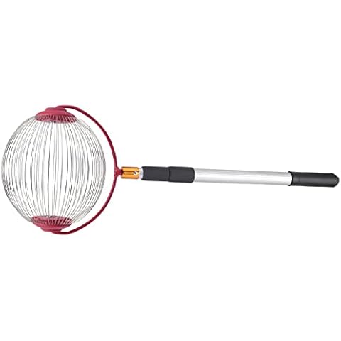 HDLIV Rolling Nut Ball Picker Stainless Steel Adjustable Nut Gatherer Adjustable Collect Walnuts Pecans Apples Cover
