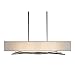 Hubbardton Forge 137660-1088 Brindille Pendant, Natural Iron