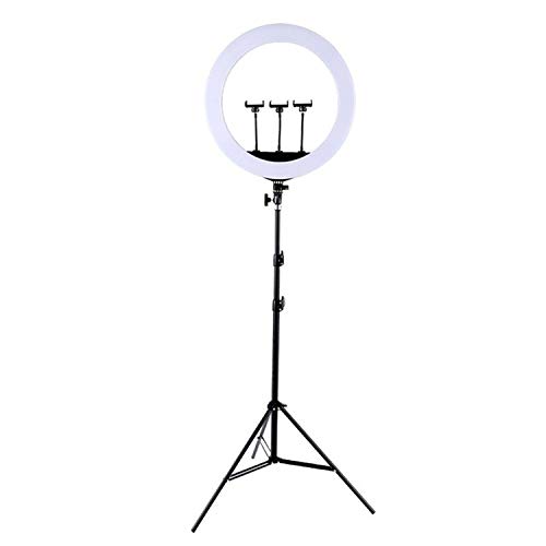 Vlogging et selfie parfait avec la bague LED 21 pouces LLD HQ-21N sur trépied