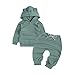 2-teiliges Babykleidung Säugling Set Kleinkind Mädchen Jungen Frühling Herbst Winter Outfits Katzenohren Kapuzenpullover Sweatshirt Haremshose Bekleidungsset für 6 Monate - 3 Jahre (Grün, 2-3 Jahre)