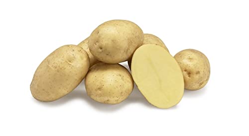 Seed Potato Organic Twinner Second Early Potatoes Grow Your Own Vegetables x 10 Tubers