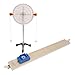 Balance Toy Balance Physics Toy for Indoor Outdoor Improves Fine Skills Gift