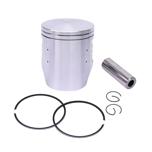 STD 66mm 66.25 .50 .75 67 s 19mm I[goCGWsXgƃOLbg CRM250R MKI MKII MKIII 1996 1995 19994p(75 Piston and Ring)