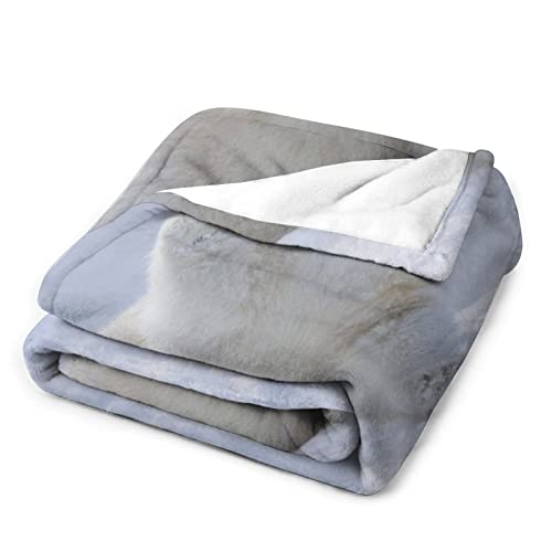 Couverture polaire ours polaire plaid lit chaud couverture hiver flanelle - 4