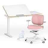 FlexiSpot Kinderschreibtisch, Elektrisch Höhenverstellbarer Schreibtisch mit neigbarer Tischplatte mit LED-Höhenanzeige, 3 Speicherplätzen, Kindersicherung, 110 x 52 cm (SK2 Kindertisch und Stuhl SET)