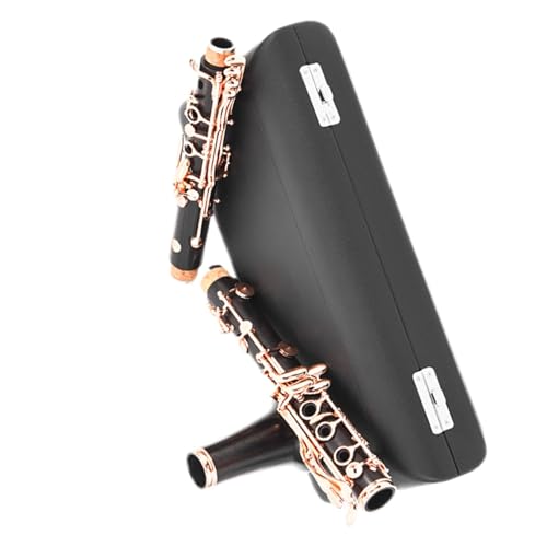 h{fB[YS[h 18 {^Nlbg؊Ǌy B tbgSҌ ṽNlbg