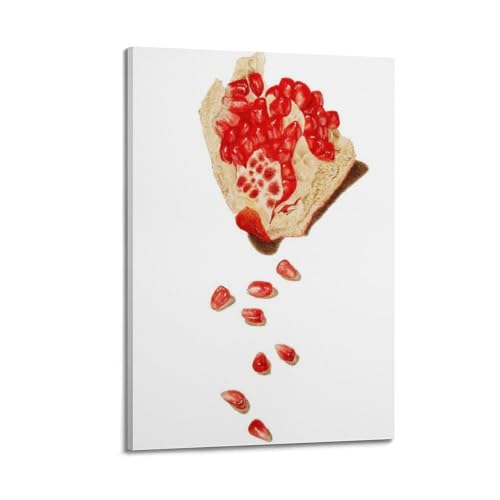 Impression sur toile grenade JIDUHON idée cadeau déco moderne style cadre 20x30cm