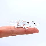 Sansukjai Crocodile Alligator Micro Tiny Figurines Hand Blown Glass Art Animals Collectible Gift Home Décor (Clear Alligator)