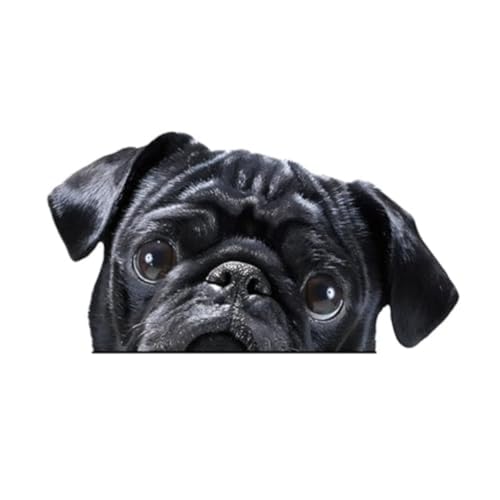 2 calcomanías de vinilo negro de 5.9 x 3.15 pulgadas, lindo adhesivo arrugado de perro para parabrisas trasero, parachoques, RV, laptop, decoración expresiva de mascotas | #DK179