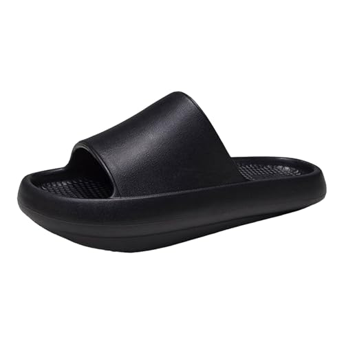 [LOKLNEYK] Xbp fB[X  ₷ ~ ₷ wlC y ʋC  É qp  O T_   K [V[Y S I[V[Y ~[ I[vgD r