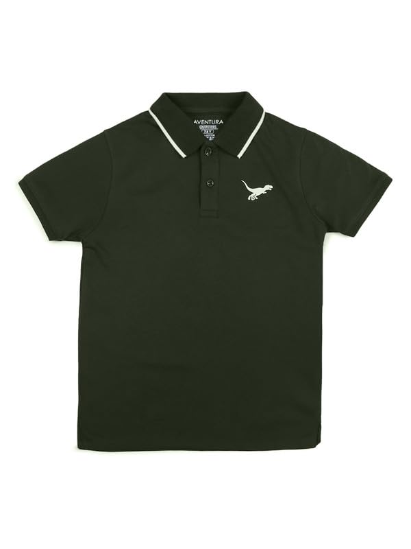 Image of Aventura Boys Polo T-Shirt Combo Pack of 2 - 100% Cotton Half Sleeve Collar T-Shirts for Boys (Age 5-12 Years)