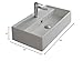 Scarabeo 5002-One Hole Teorema Rectangular Ceramic Wall Mounted/Vessel Sink, White