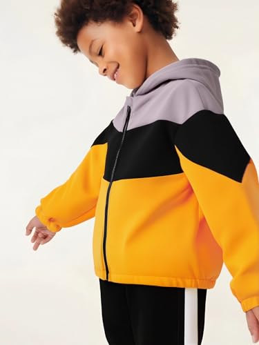 Boys Clothes Little Boy Casual Color Block Zip-Front Hoodie & Jogger Pants 2 Pcs Outfit Set, 4-8 Years3