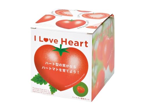 聖新陶芸 ハートマト 栽培セット