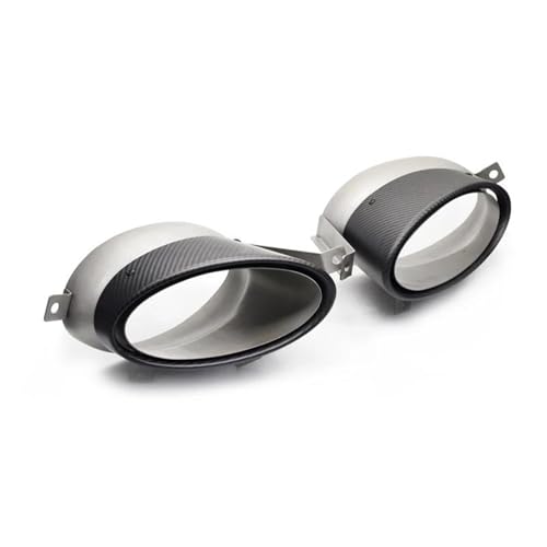 Embout d'échappement ovale aspect carbone pour R8 V10 2007-2012 tuyau silencieux