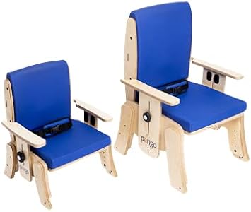 Pango Activity Classroom Chair for Kids & Toddlers Small with Positioning Needs - Mild Support Adapted Seating System with Fully Adjustable Padded Seat, Belt & Armrest for Better Posture