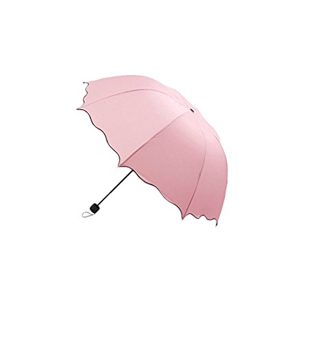 Sofa Holz Kabinett Cover