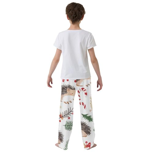 ZZXXB Hedgehog Candy Cane Boys Long Pants Soft Trousers Elastic Waist Kids Lounge Bottoms with Pockets S-XL3