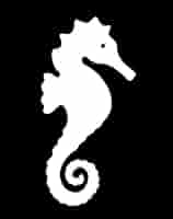 竜の落とし子 31vO5nrbp3L._AC_SY200_QL15_.jpg