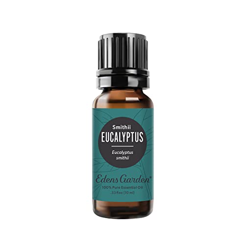 Edens Garden Eucalyptus- Smithii Essential Oil- 100% Pure Premium Grade, Undiluted, Natural, Therapeutic, Aromatherapy, The Best for Diffuser, Skin, Hair, Humidifiers 10 ml (.33 fl oz)