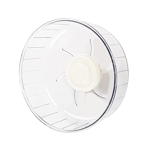 Roue d'exercice pour petits animaux – Roue de course silencieuse pour hamster, gerbilles, souris, hamster nain, hérisson, rat