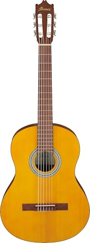 Ibanez Acoustic guitar / GA3OAM Standard